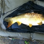 myFish_2011_5_2_19_10_8_897.jpeg