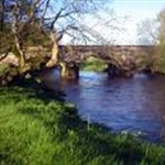 myFish_2010_10_30_20_24_37_739.jpeg