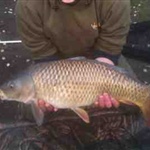 Newland Hall Fishery 02
