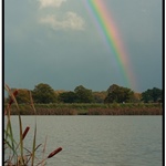 After the rain