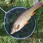 Emerald Pool Fishery 1