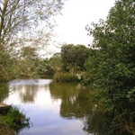 Glenleigh Farm Fishery 1