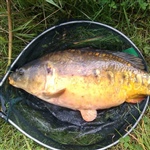 7.15lb_mirror.jpg