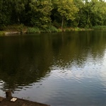myFish_2011_8_27_20_47_31_506.jpeg