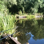 myFish_2011_8_27_20_55_14_285.jpeg
