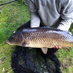 myFish_2011_8_27_21_1_29_88.jpeg