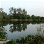 myFish_2011_4_20_21_7_5_441.jpeg