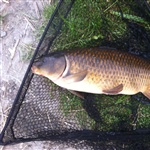 myFish_2011_7_2_18_27_39_564.jpeg