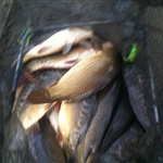 Thorn House Lakes 4