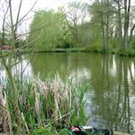 SpringLea-001.jpg