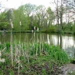 SpringLea-002.jpg