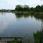 SpringLea-004.jpg