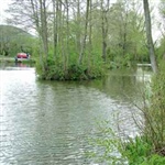 SpringLea-005.jpg
