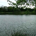 SpringLea-007.jpg
