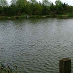 SpringLea-008.jpg