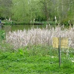 SpringLea-009.jpg