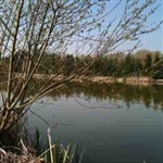 myFish_2010_4_17_12_6_58_882.jpeg