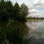 myFish_2010_7_3_8_15_8_258.jpeg