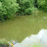 ChequeredLake-001.jpg