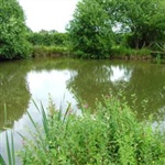 ChequeredLake-002.jpg