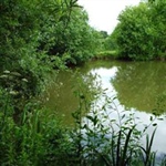 ChequeredLake-004.jpg