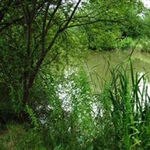 ChequeredLake-005.jpg