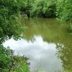 ChequeredLake-006.jpg