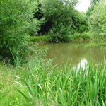 ChequeredLake-007.jpg
