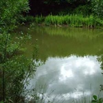 ChequeredLake-008.jpg