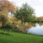 nineoaks_02.jpg