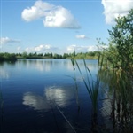 Scenic_shot_6_by_Jerry_Pike.jpg
