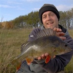 Specimen_lake_perch.jpg