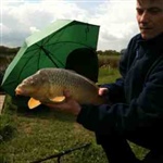 myFish_2010_5_12_22_54_21_436.jpeg