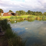 myFish_2010_9_2_13_27_11_652.jpeg