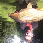 myFish_2011_8_10_0_6_23_217.jpeg