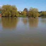 myFish_2010_4_20_11_49_21_545.jpeg