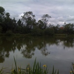 myFish_2011_5_27_21_11_1_645.jpeg