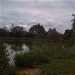 myFish_2011_5_27_21_17_52_841.jpeg