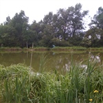 myFish_2011_5_27_21_7_1_329.jpeg