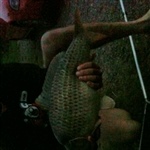 myFish_2010_9_22_21_25_35_381.jpeg