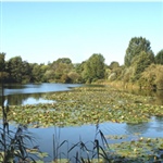 heron_img.jpg
