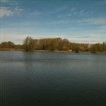 myFish_2011_5_1_22_16_36_696.jpeg