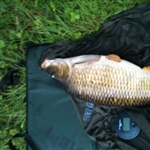 myFish_2011_1_8_7_29_53_530.jpeg