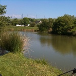 myFish_2010_6_10_10_54_40_500.jpeg