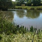 myFish_2010_6_10_10_58_25_571.jpeg