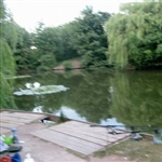 myFish_2010_8_7_9_8_19_135.jpeg