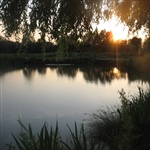 Summerhayes_IMG_0809.jpg