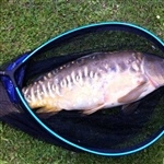 myFish_2011_8_1_11_19_7_191.jpeg