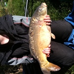 myFish_2010_10_18_21_11_32_24.jpeg