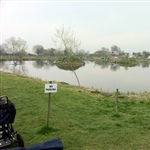 myFish_2011_3_29_20_35_55_9.jpeg